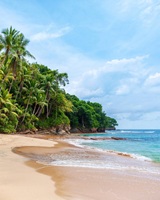 Saboga Panama